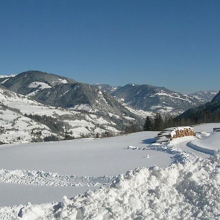 Апартаменты Sauschneid Hof Таксенбах Экстерьер фото